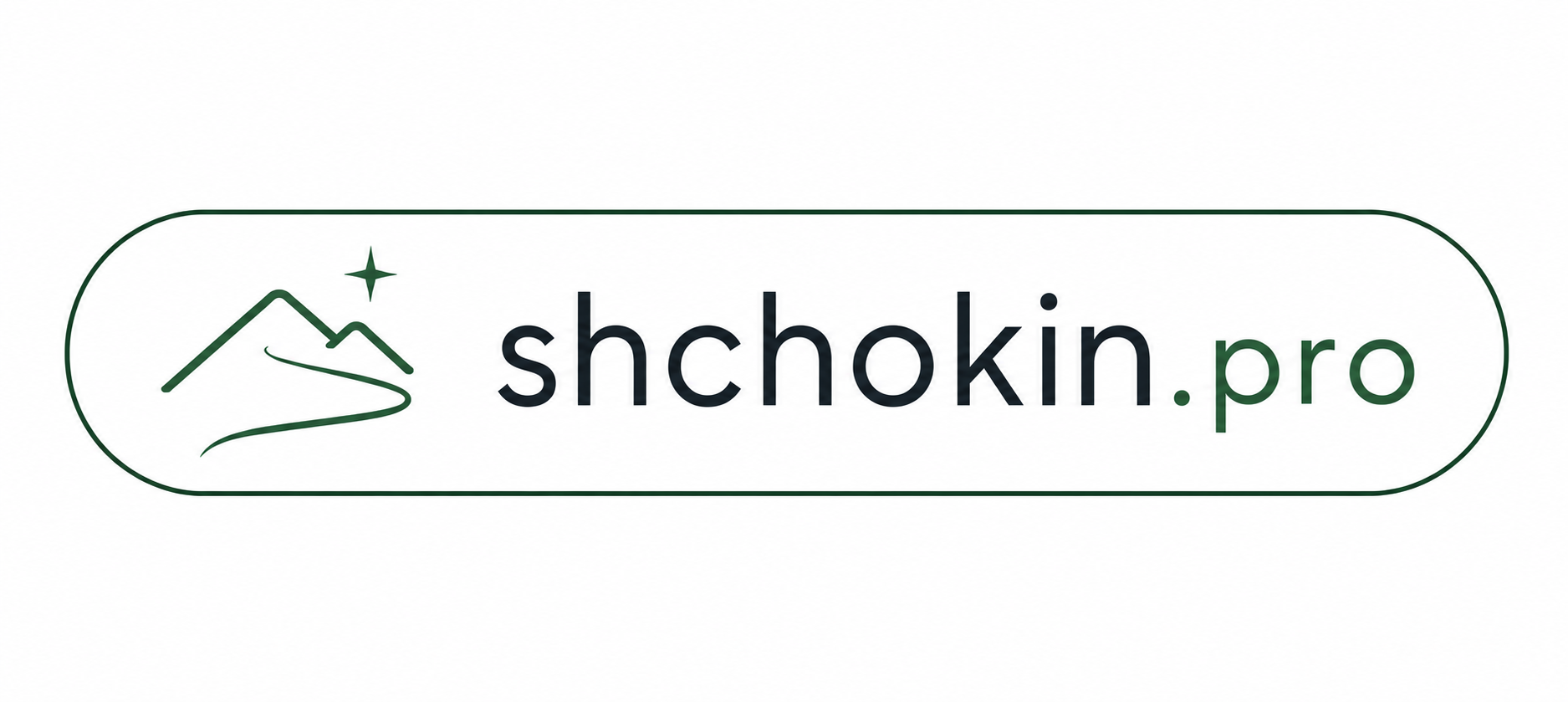 shchokin.pro